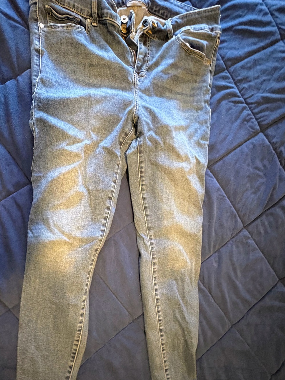 torrid Light Blue Straight Leg Jeans